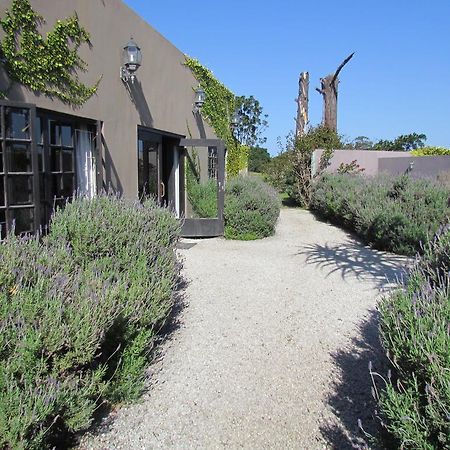 Plett River Lodge Plettenberg Bay Zewnętrze zdjęcie