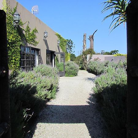 Plett River Lodge Plettenberg Bay Zewnętrze zdjęcie