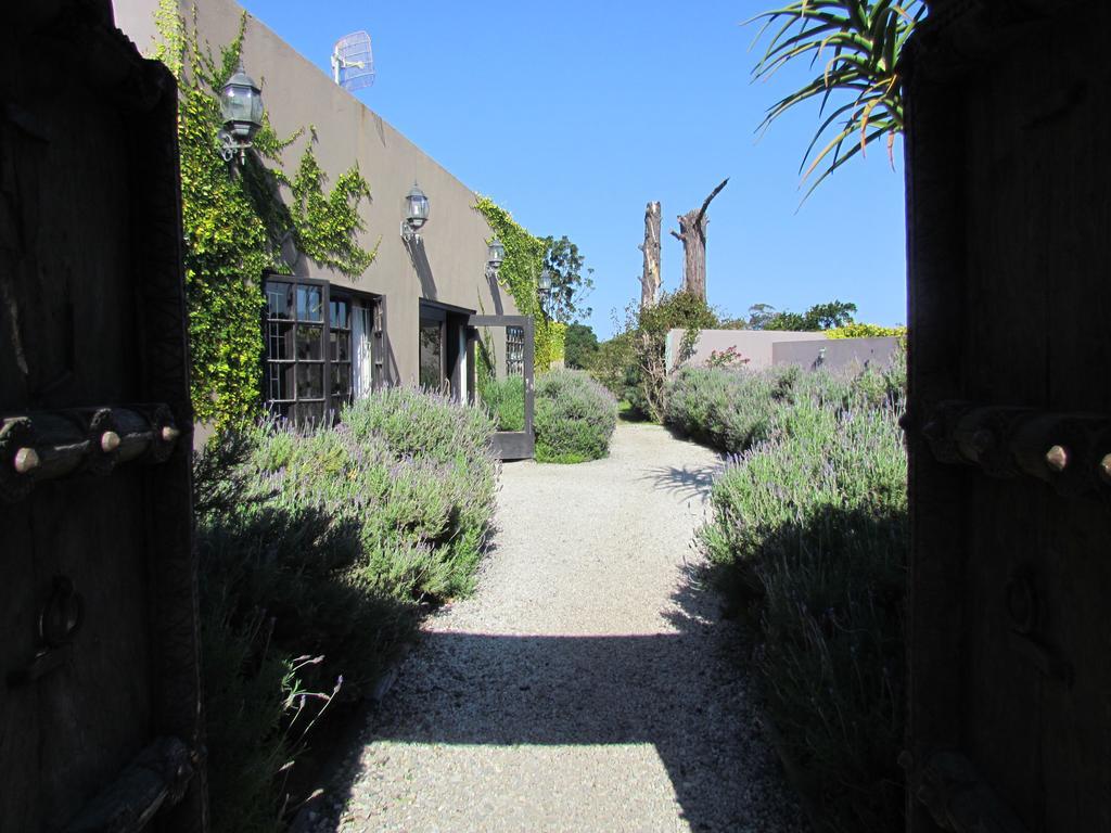 Plett River Lodge Plettenberg Bay Zewnętrze zdjęcie